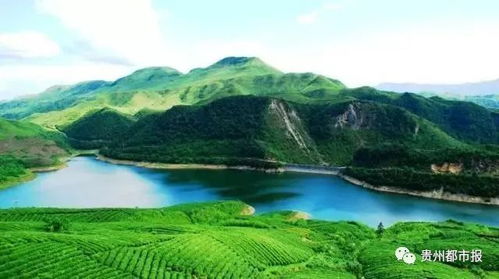 者阝匀螺丝壳及周边：探索未知的惊喜