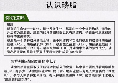 ：对全文核心要点进行提炼与概括，并在此基础之上提出有待进一步探究之问题，以期引发更广泛深入之讨论与思考