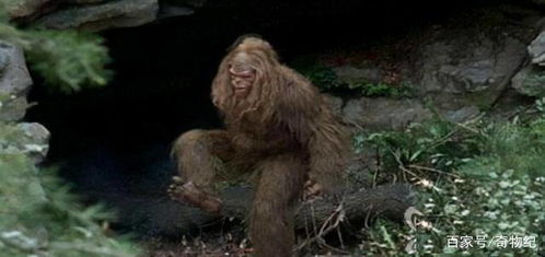 二、 学术界对与野人存在性的争议性辨析