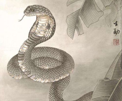 2026年羊人遇蛇年运势如何，蛇人2026年运势怎样具体表现是什么？