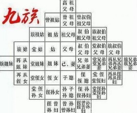 名字的整体寓意：杨诗昊的独特之处