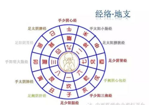 如何通过心轮脐轮能量呼吸法，实现五行平衡与身心和谐？