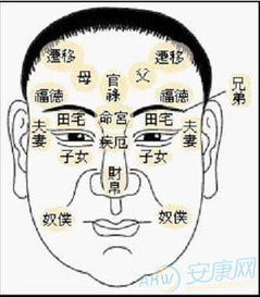 面相中半截眉代表什么是否影响运势和人际关系？
