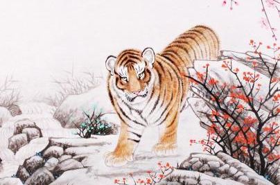 属马女与属虎男婚姻如何？虎年送属虎桃罐头有何寓意？