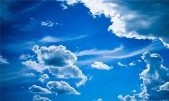 天空白云指的是什么生肖？这个成语的生肖是什么？