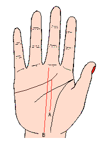 3. 起自于手掌中央及其他特殊区域的命运解析