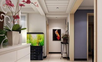 五、 洗衣机、屏风及阳台等空间元素的潜在风险