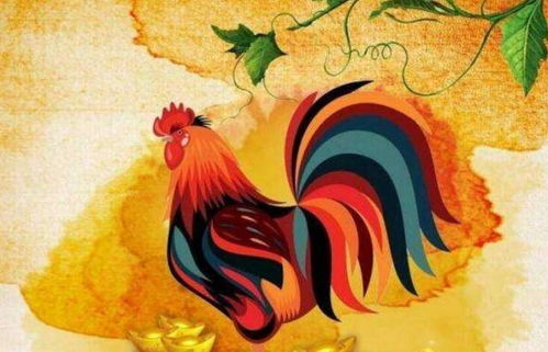 为什么传统名字不行？（灵魂拷问！）