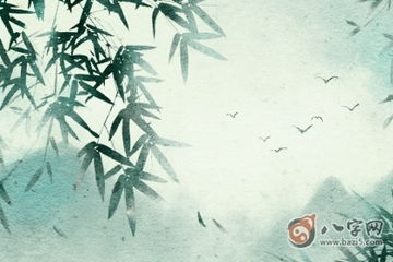 我的八字是水命土命，请问是水克土还是土克水呢？