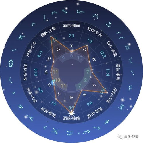 不同蛇日期间财运表现差异性分析报告
