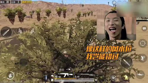 3. 心理情绪的调节与优化