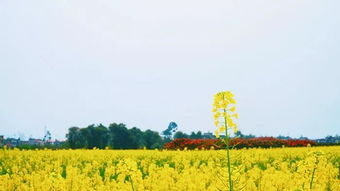 惯与拍照的那些破事儿