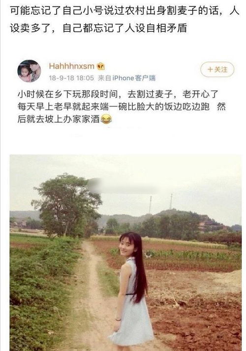 探究背景