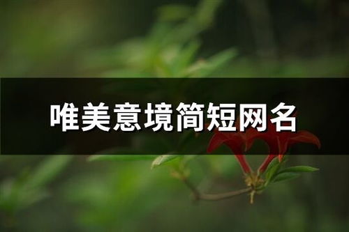 三、 意境与情感的巧妙融合