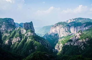 美食投毒预警！！！