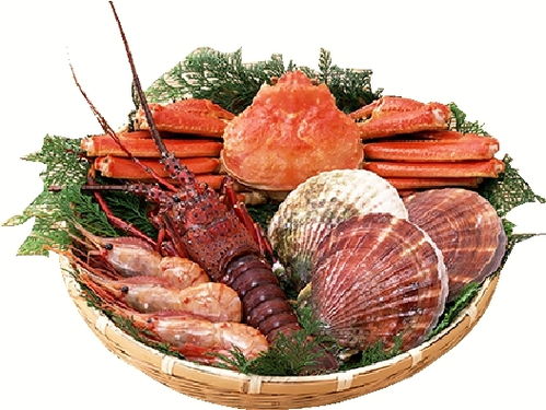 第二天：自然+购物=体力与钱包的大考验