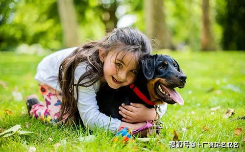 怎样为女牛宝宝取个良好名字？