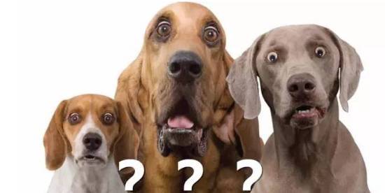 手仙？那玩意儿真的假的啊