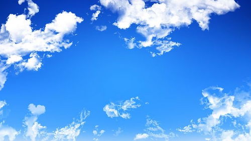 噪音：随机段落与情绪爆发