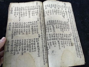 一、 谢土仪式的理论框架与时代定位
