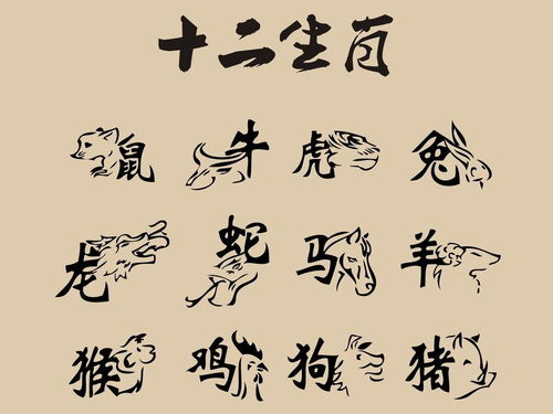 八字年柱月柱天合地合，月柱和流年天合地合会发生什么情况？