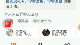 B. 网络昵称体系中的价值链探讨