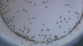 平衡失调与调整策略