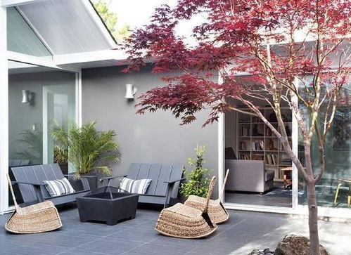 种树到底图个啥？