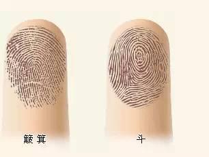 传统方式手相学与现代化探究