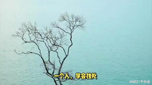 怎样在纷扰尘世中修心悟禅， 找到内心的宁静与智慧