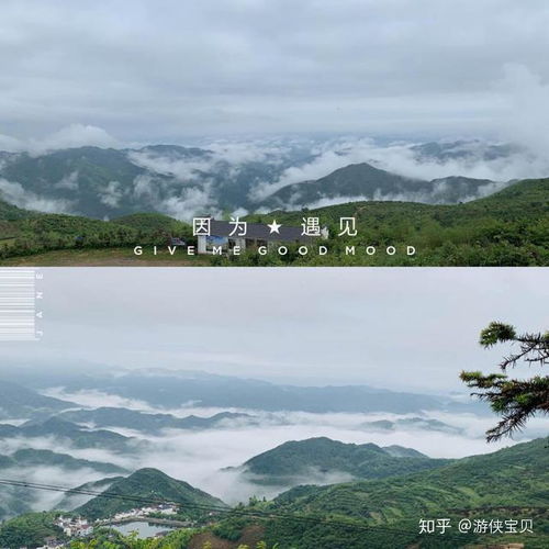 2.2 小龙湾湿地——湿湿的不一定好玩。