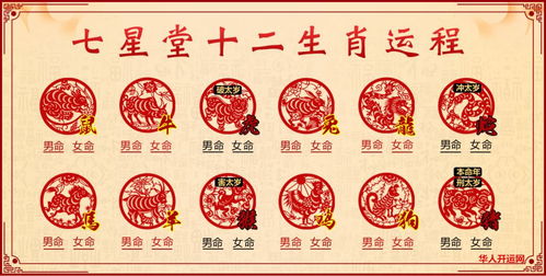 十二生肖运势大乱斗