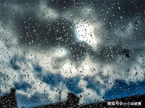 阴雨绵绵指的是哪个生肖，这个生肖有什么特点？