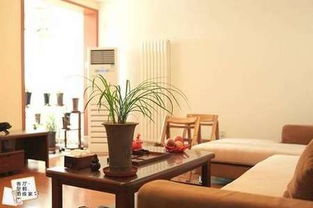 5. 内部布局及家具摆放的优化