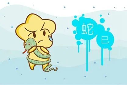 二、 跨生肖运势差异之对比探究