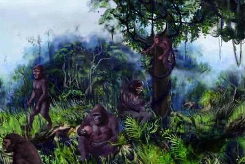 “树神”信仰的文化人类学解析