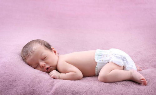 前言：那个叫“小破肚皮”的小家伙