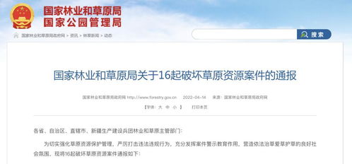 案例一：黑心导游的“宰客”套路——钱包在哭泣