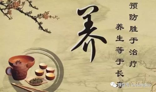 （一）美学特质的超凡脱俗