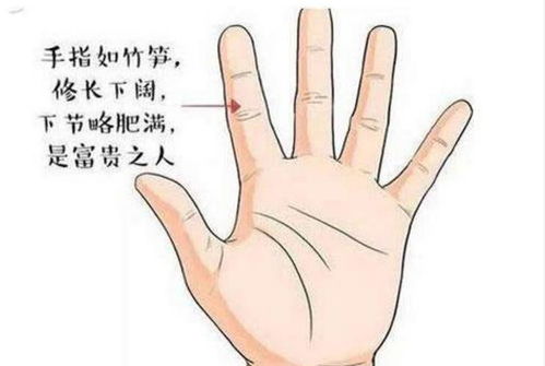 那些奇奇怪怪的骨头禁忌，看完笑到肚子疼！