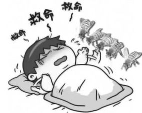 四、 职业与社交层面的暗示