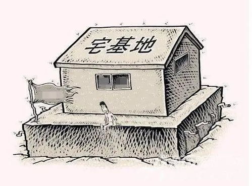 一、  宅基地与房屋：相互依存的共同生存关系