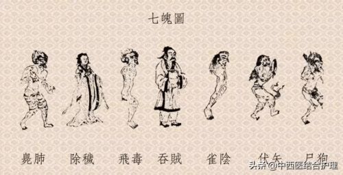 核心概念：三魂七魄与“生基”术理
