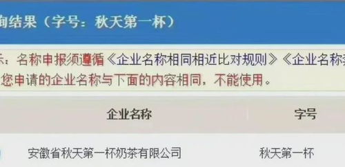 5. 合规性审查与商标冲突规避