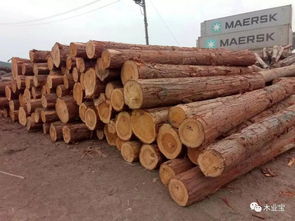 什么是克白蜡金命？白蜡金命人的禁忌有哪些？