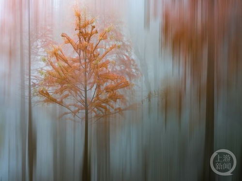 秋季主题模组包：Autumnful的奇幻之旅