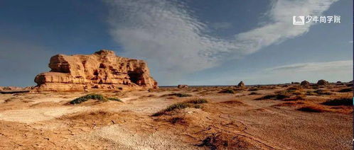 在十五岁这个年纪，我可依学习堪坟墓风水吗？