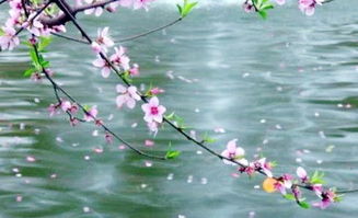 二、 2026年风水大预测！不看后悔一辈子