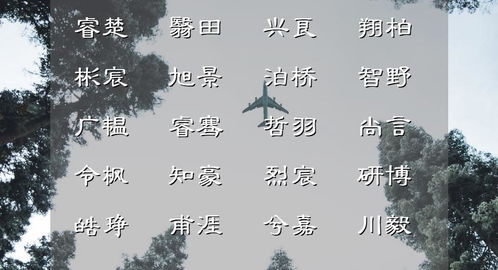 绕弯子的好听的名字 (真的绕弯子了!)