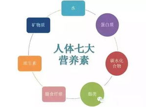二、  五行元素的生理状况对应关系及其病理演化机制解析